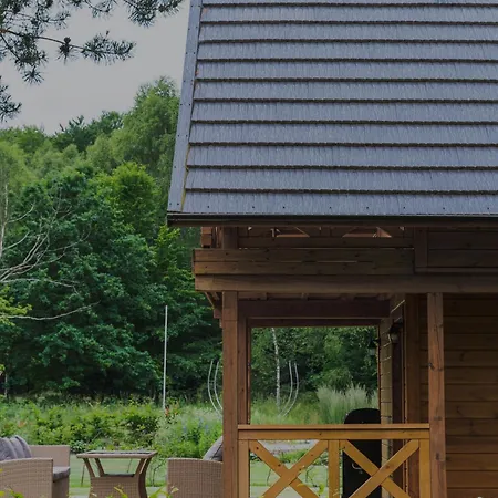 Siedlisko Modrej Czapli. Na Kaszubach *