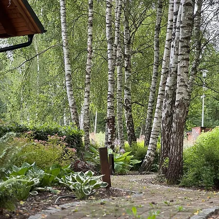 Siedlisko Modrej Czapli. Na Kaszubach * Klonowo Dolne