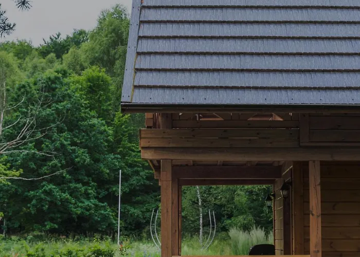 Siedlisko Modrej Czapli. Na Kaszubach *