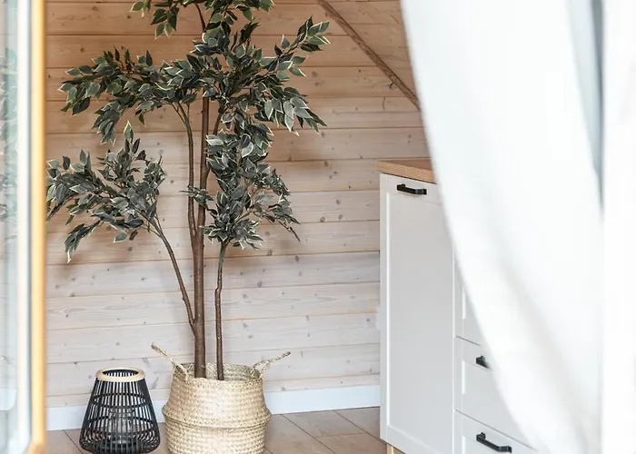 Siedlisko Modrej Czapli. Na Kaszubach *