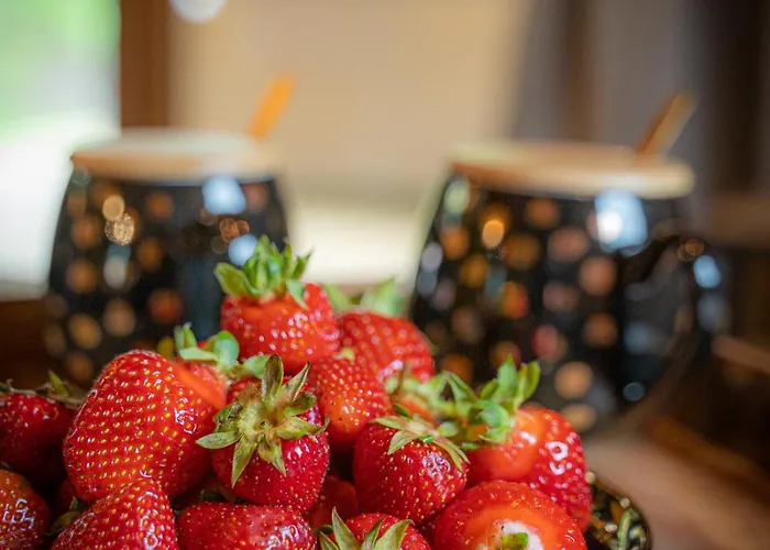 Курортный комплекс Siedlisko Modrej Czapli. Na Kaszubach Klonowo Dolne