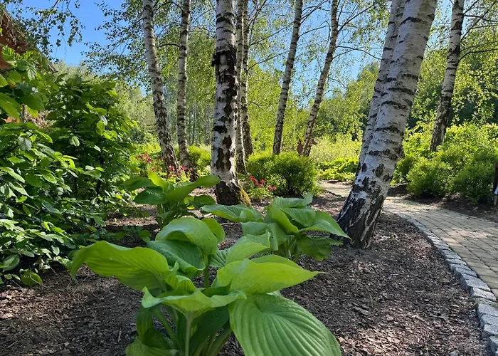 Курортный комплекс Siedlisko Modrej Czapli. Na Kaszubach