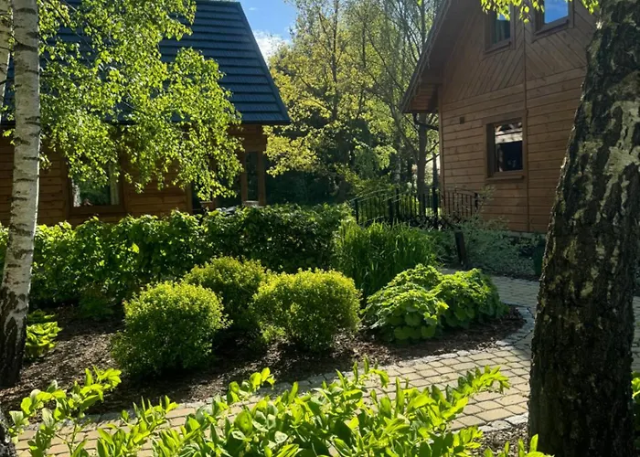 Siedlisko Modrej Czapli. Na Kaszubach *